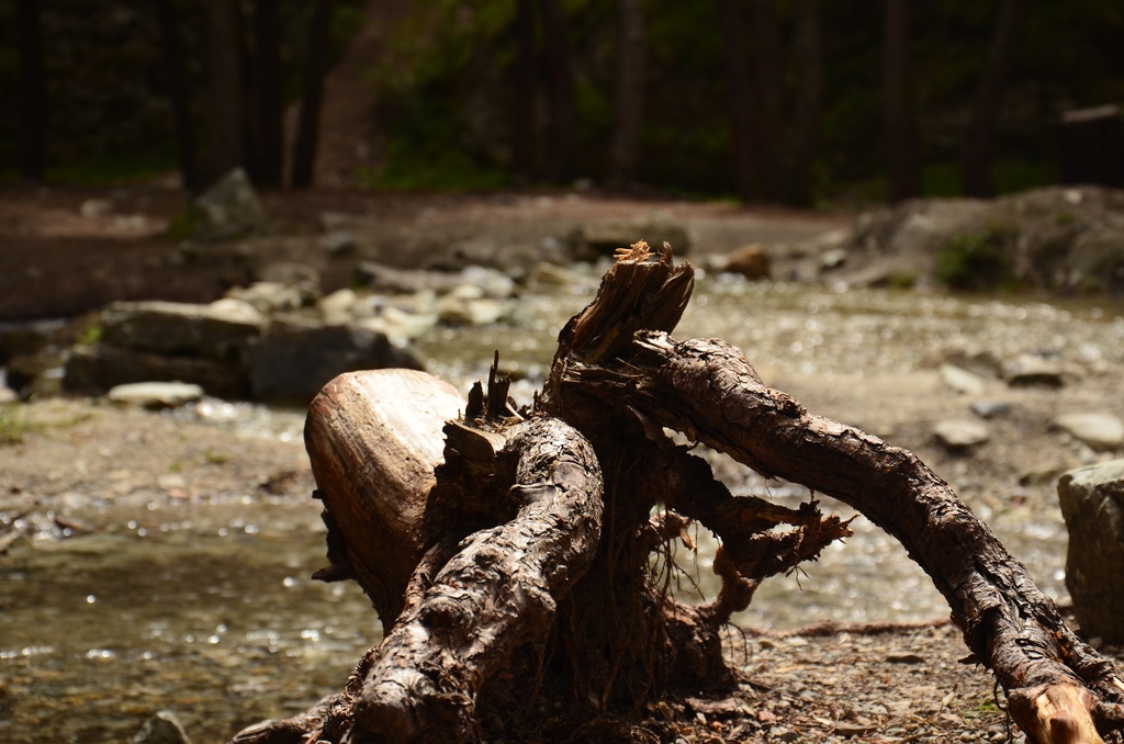 2015-07 Savoie/Cascade St Benoit/DSC_0025.JPG